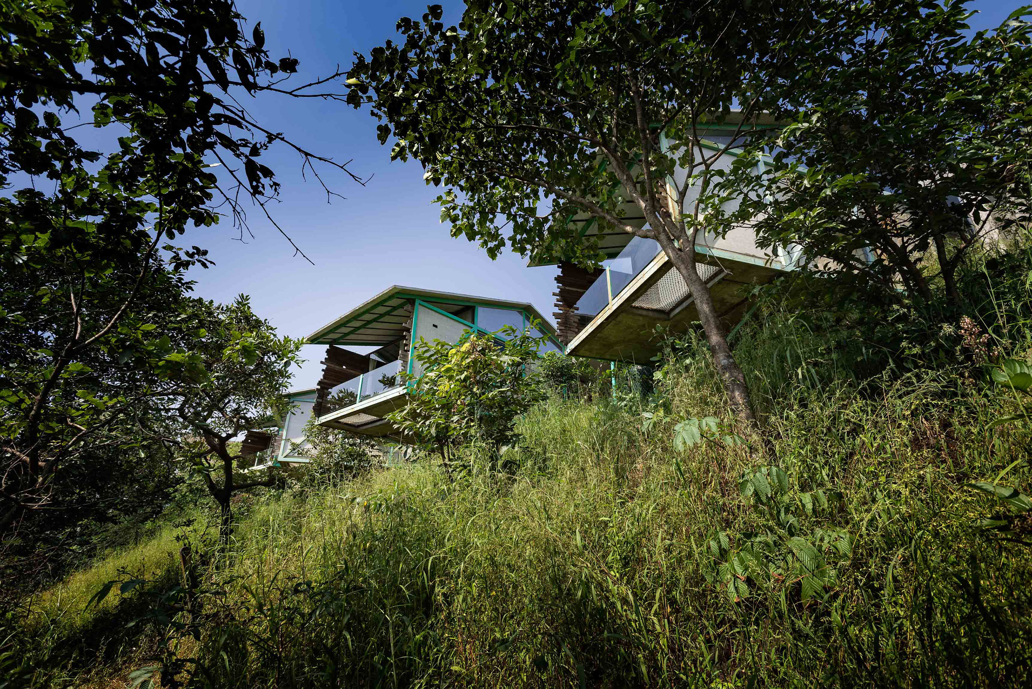 Tarangan cottages : a series of six cottages cantilevered off an axial spine towards a grove frequented by fireflies.