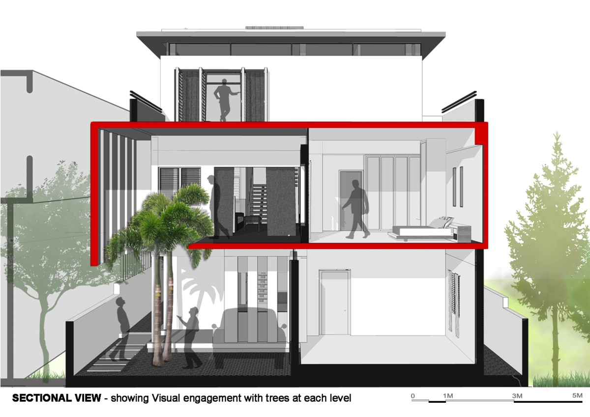 Sectional view -  showing visual connection with trees at each level