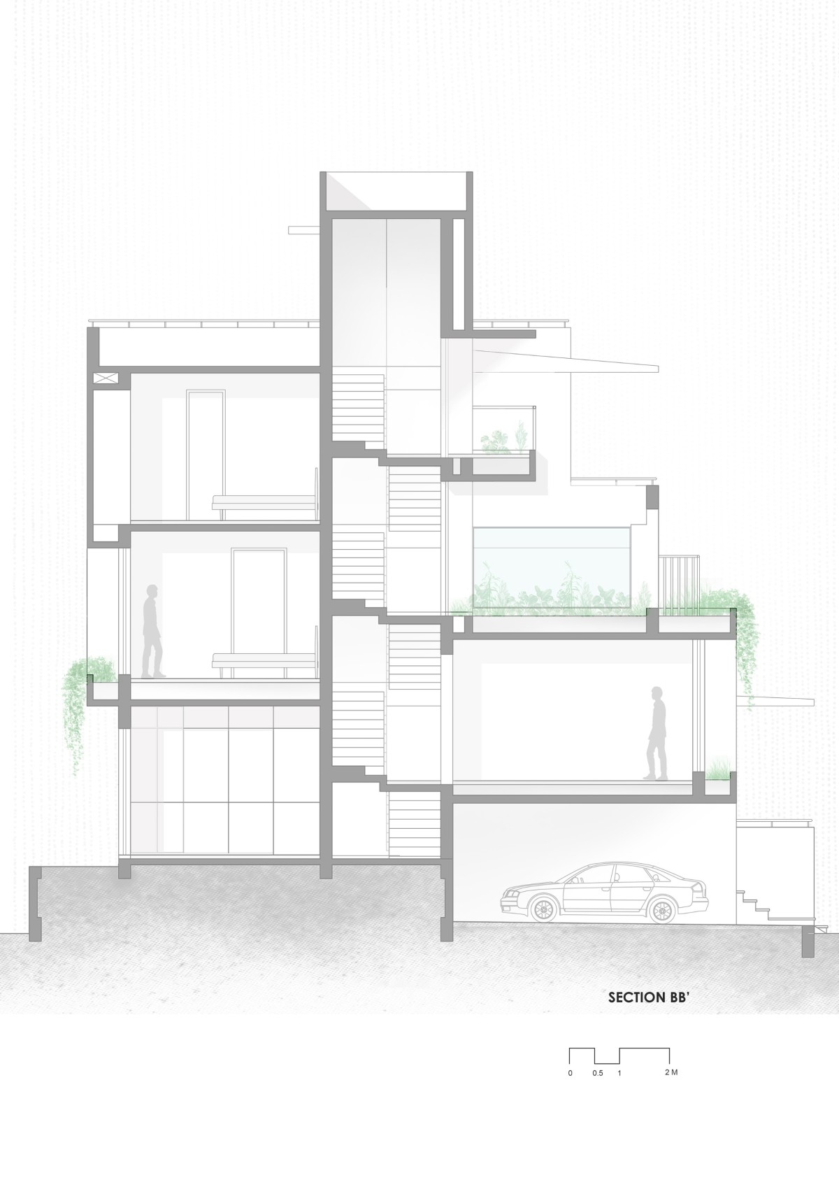 Section BB of The White Bleached House by Neogenesis+Studi0261