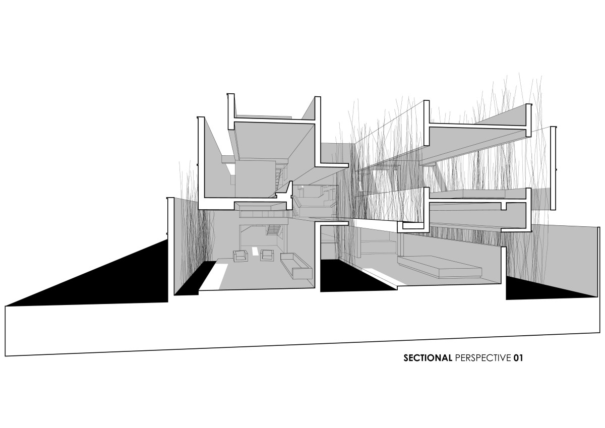 Section of Veiled House by Gaurav Roy Choudhury Architects