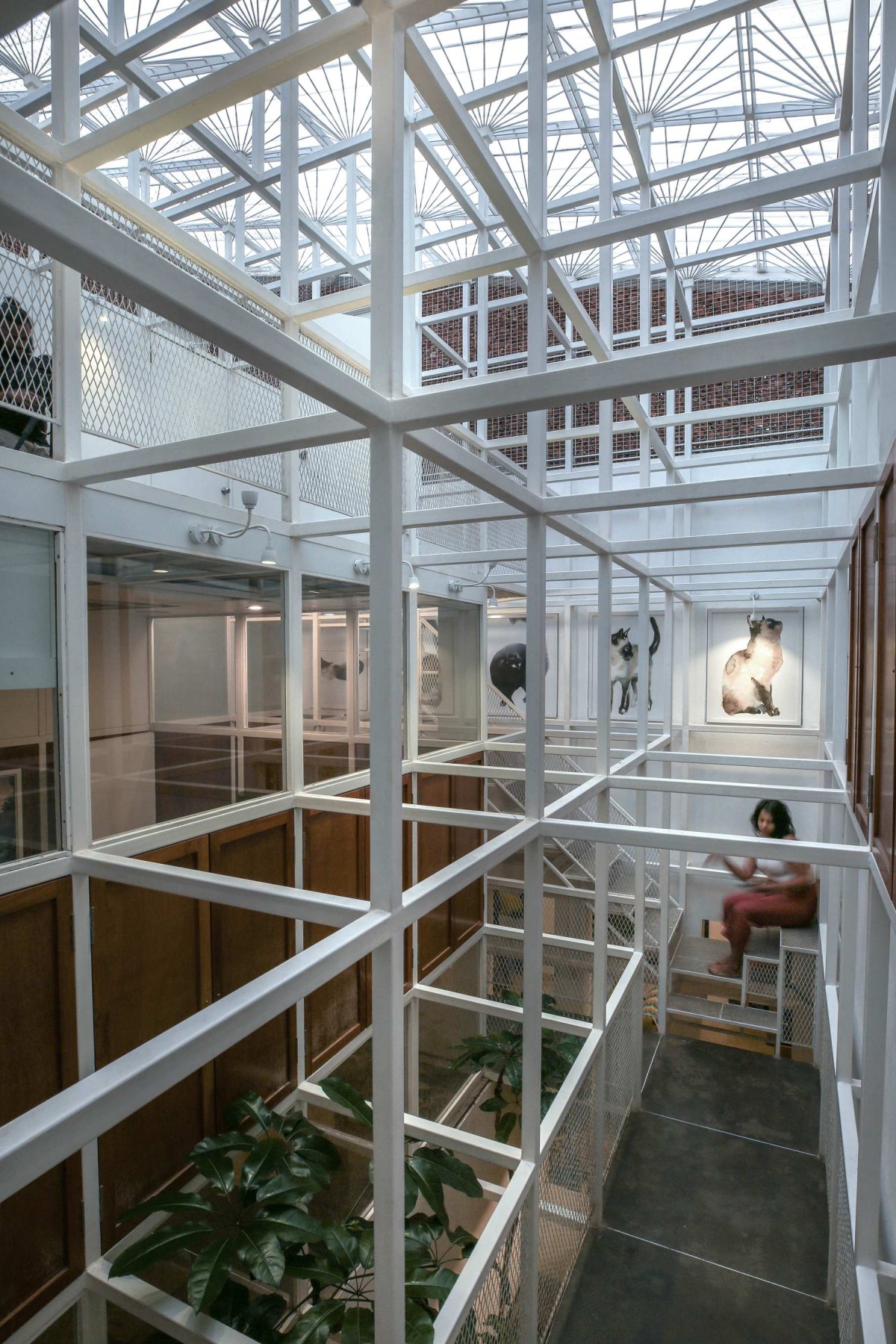 View of internal frame and staircase