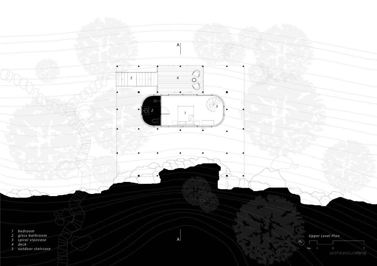 Lower Ground Floor Plan of Tree Villa by Architecture BRIO