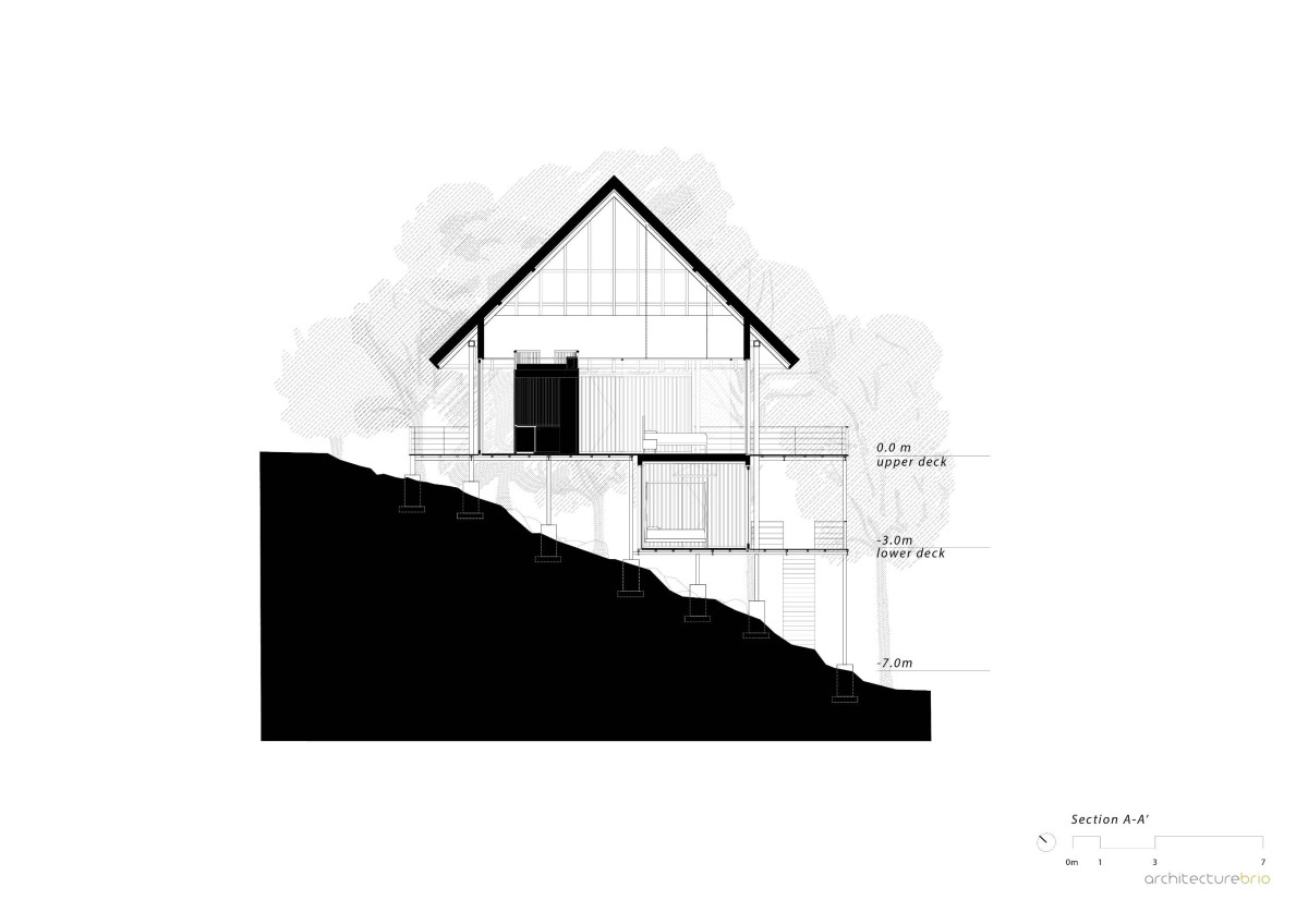 Section A of Tree Villa by Architecture BRIO