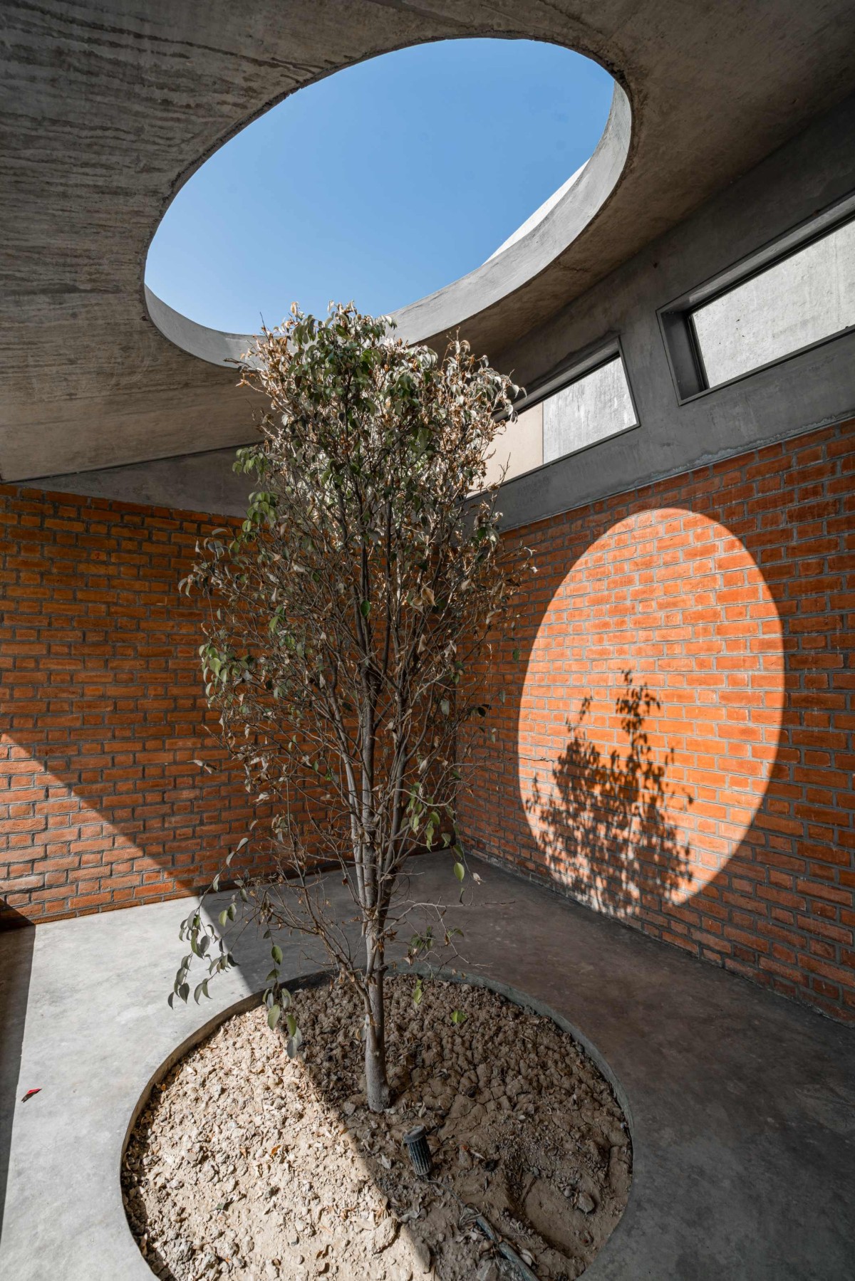 Open to sky courtyard of Two Bay House by MISA Architects