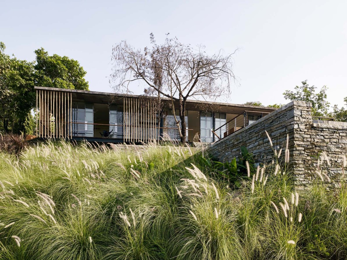 Landscape and swimming pool of The Riparian House by Architecture BRIO