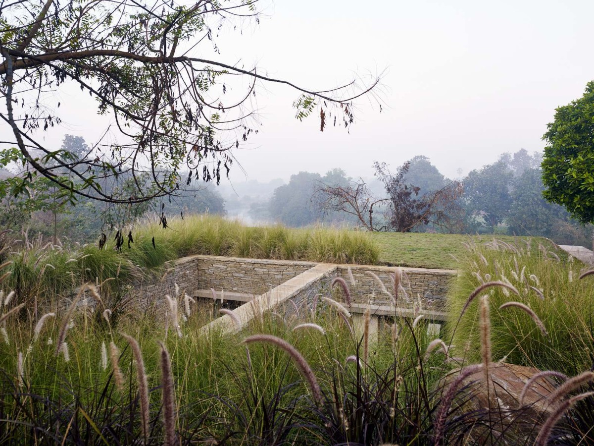 Greenery at roof of The Riparian House by Architecture BRIO