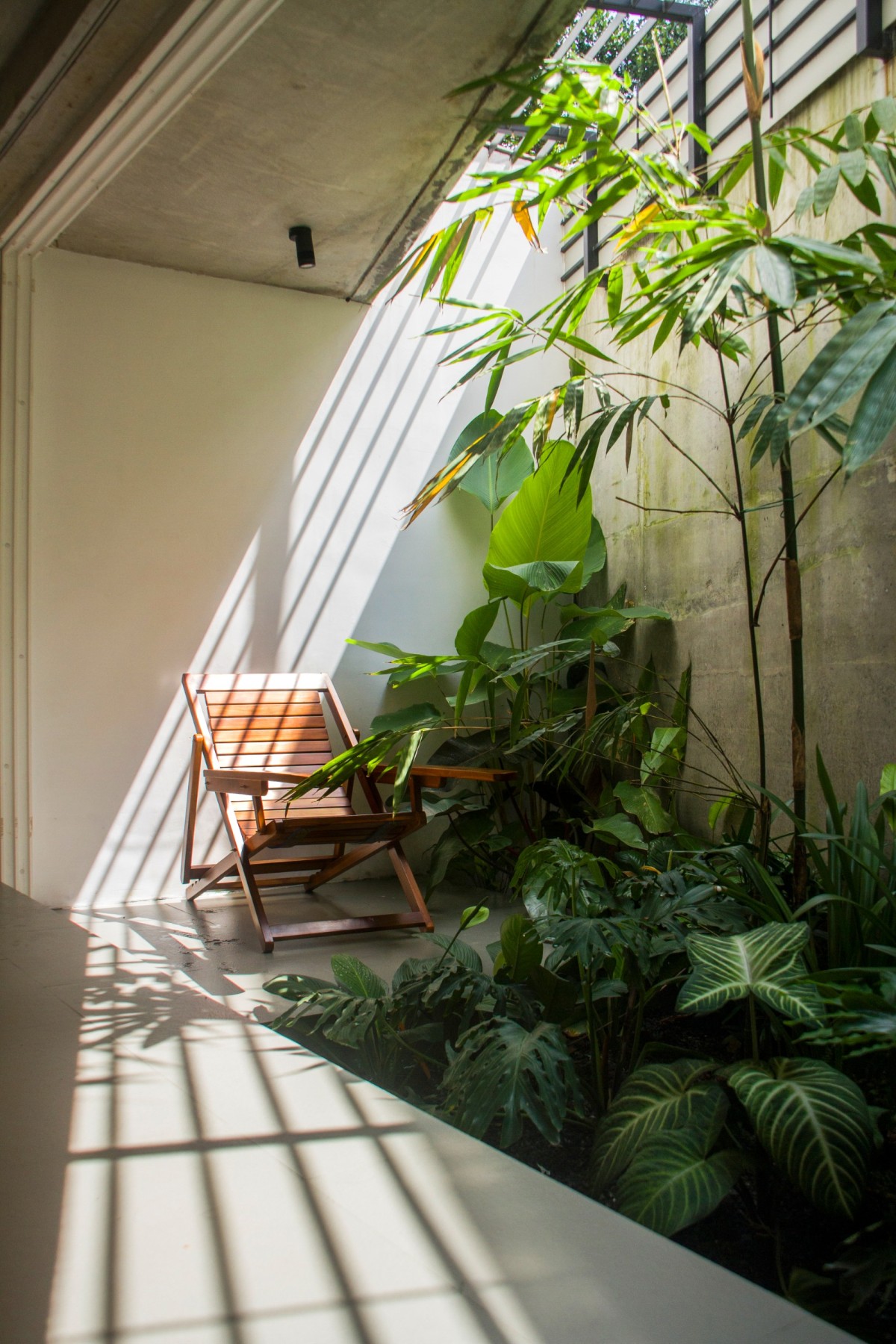 Courtyard with skylight of Buoyant Hue by Mindspark Architects