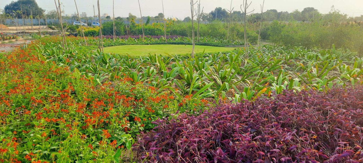 Landscape of Agrawal Farm by Urbscapes