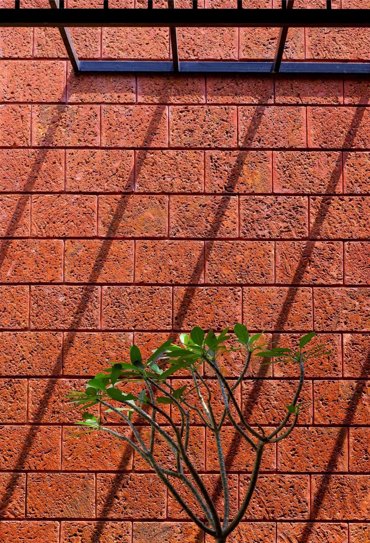 Detailed shot brick wall of Our Space by Satkriya Architecture