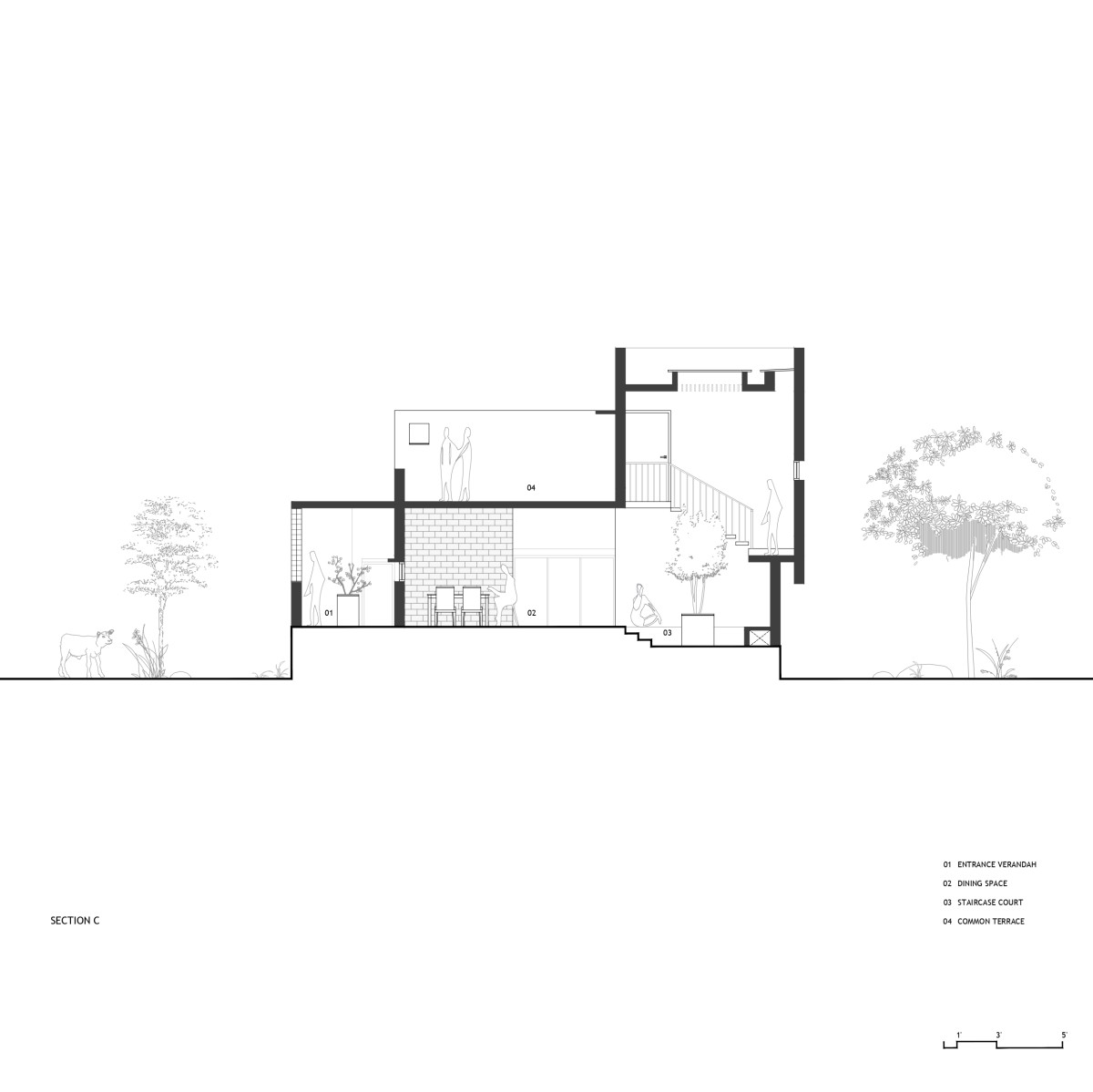 Section C showing visual connection from staircase to dining space through the central courtyard