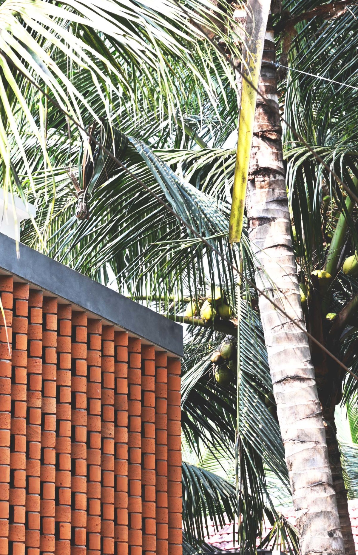 Detailed shot of brick wall of Brick Screen House by HONEYCOMB Architects