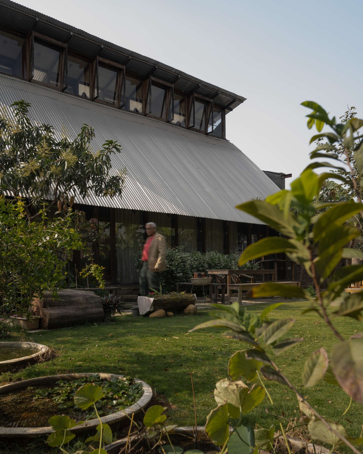 Lawn of Pott House by Kiron Cheerla Architecture Design