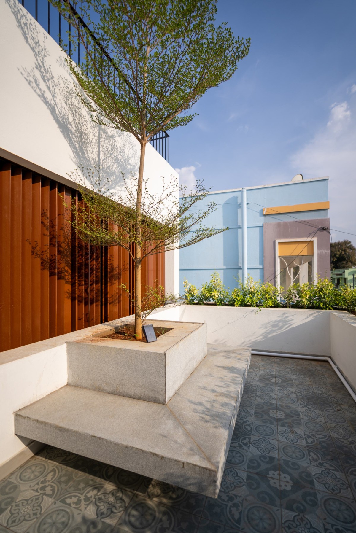 Terrace Tree of TT House by Wall Narratives