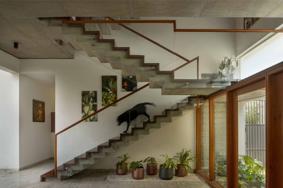 Staircase of House of Greens by 4site Architects