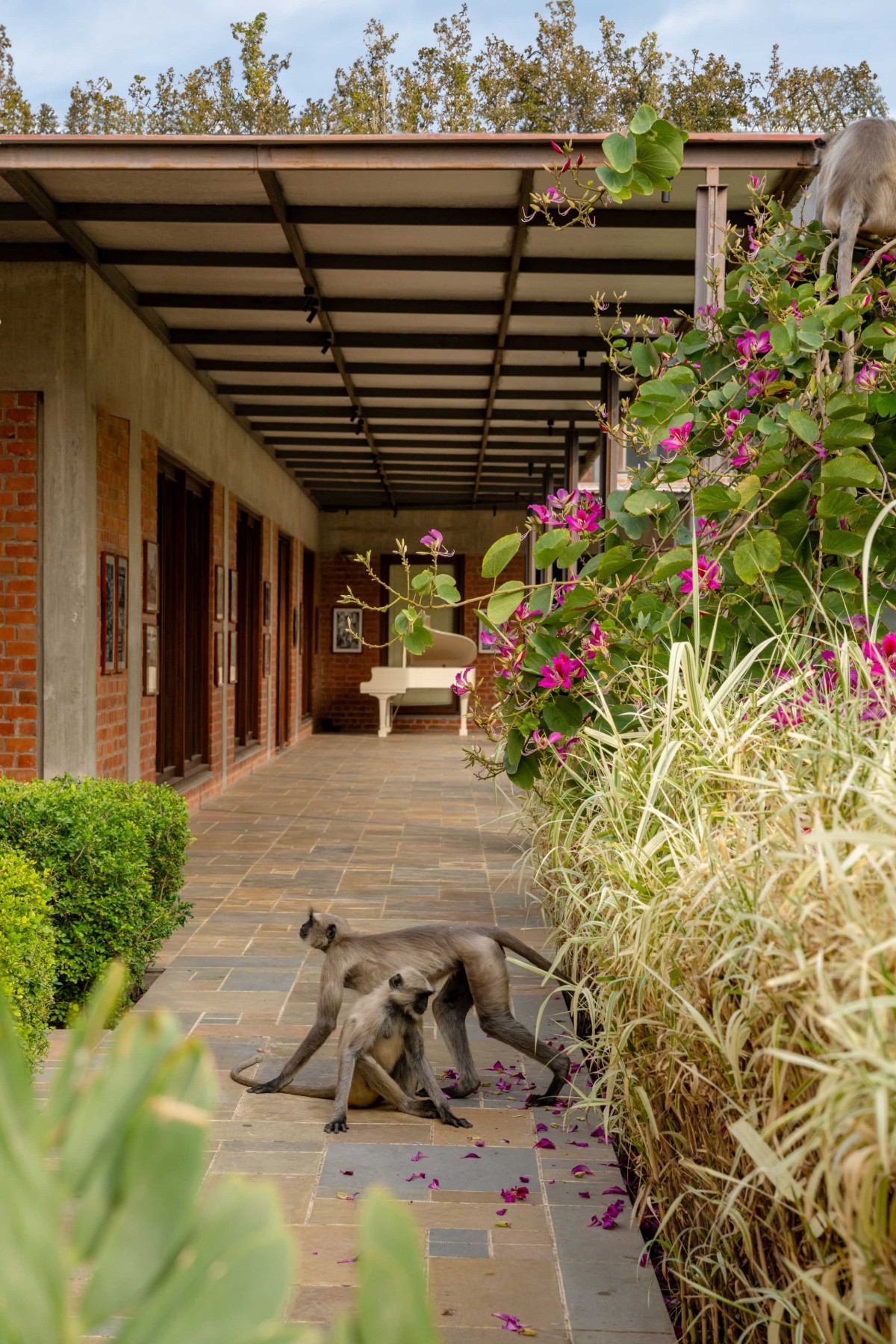 Outdoor lobby of Under The Neem Tree by Studio HPA