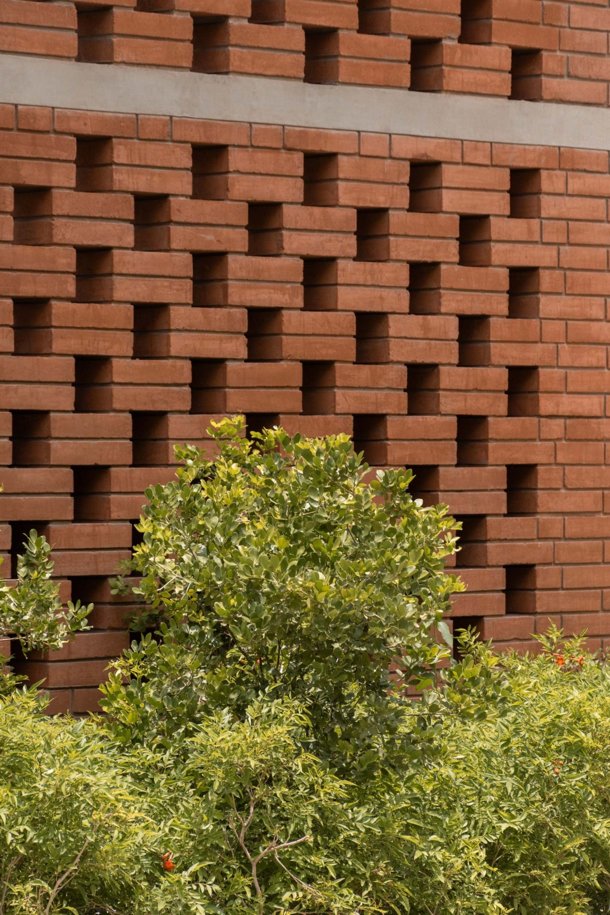 Detailed shot exterior wall of Jalmanjar Farmhouse by Put Your Hands Together - BioArchitects