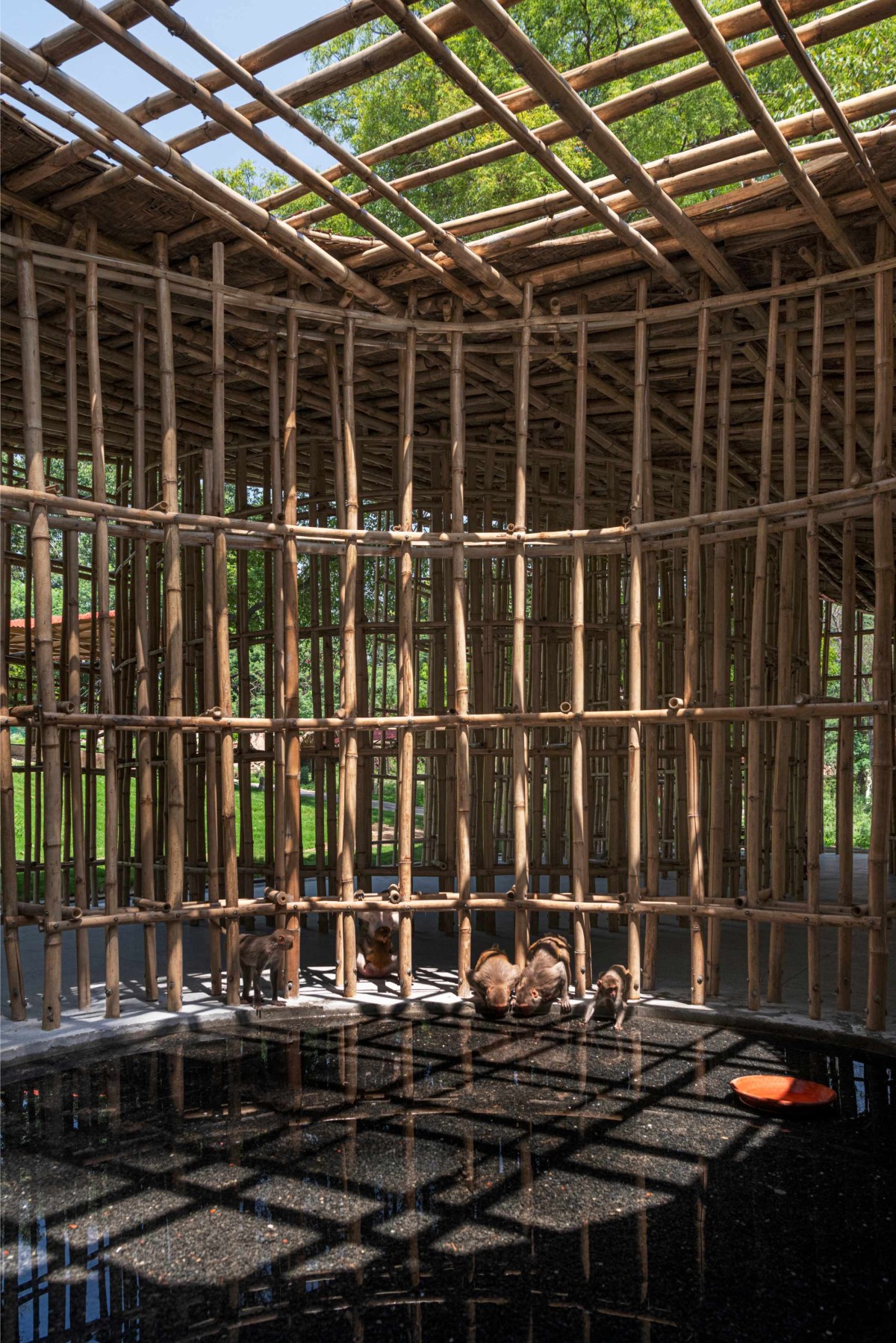 Meghalaya Court pool of North-East Bamboo Pavilion by  atArchitecture