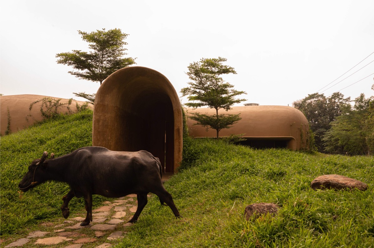 Entrance of Into The Wild by Earthscape Studio