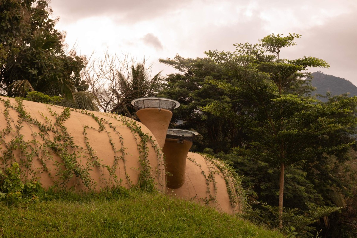 Exterior view of Into The Wild by Earthscape Studio