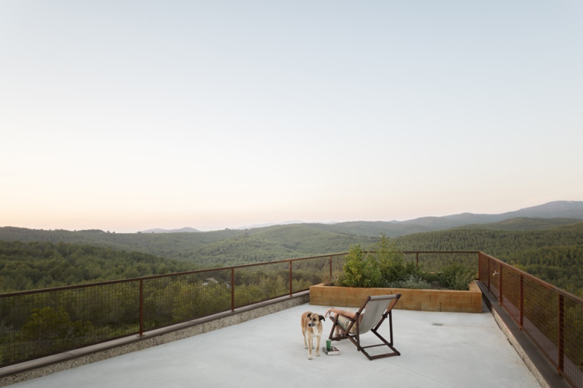 View of the forest from the rooftop terrace